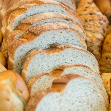 Hotel Concorde Camerano